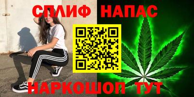 тгк Сланцы