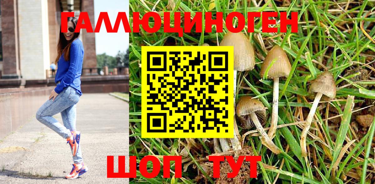 Галлюциногенные грибы Cubensis Мегион