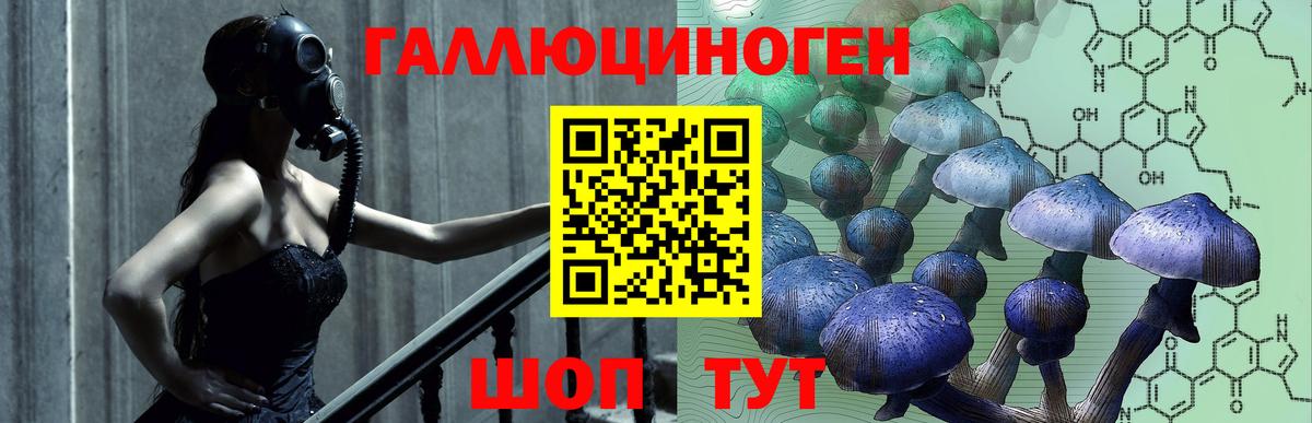 Галлюциногенные грибы Psilocybine cubensis  Вход с VPN  Мегион 