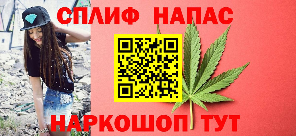 Конопля сатива Мегион